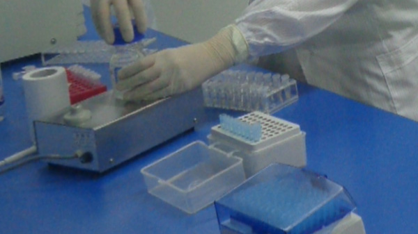 郑州刚怀孕需要怎么办理胎儿亲子鉴定,郑州无创怀孕亲子鉴定多少钱的费用