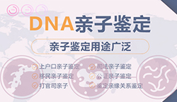 郑州可以做亲子鉴定吗，郑州亲子鉴定办理流程