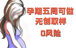 郑州怀孕亲子鉴定哪里做