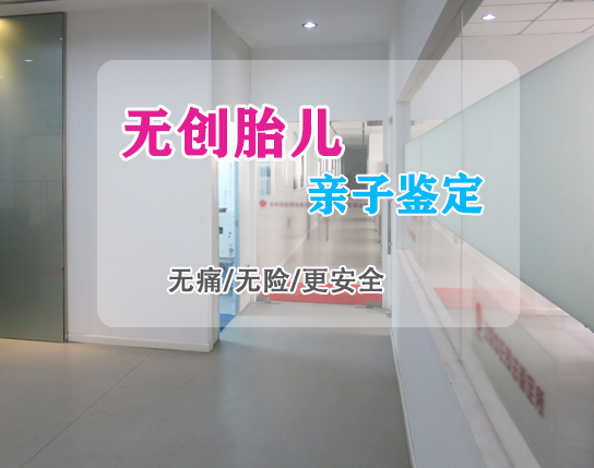郑州刚怀孕需要怎么办理胎儿亲子鉴定,郑州无创怀孕亲子鉴定多少钱的费用