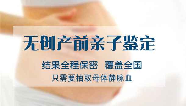 郑州怀孕了如何做怀孕亲子鉴定,郑州办理无创怀孕亲子鉴定多少钱