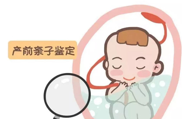在[郑州]刚怀孕要如何办理DNA亲子鉴定,郑州怀孕亲子鉴定费用是多少钱