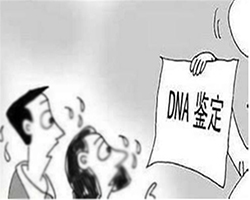 郑州正规亲子鉴定机构在哪里，郑州正规的DNA亲子鉴定机构怎么收费