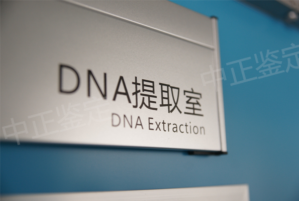 郑州怀孕三个月怎么做DNA亲子鉴定,郑州孕期亲子鉴定多少钱的费用